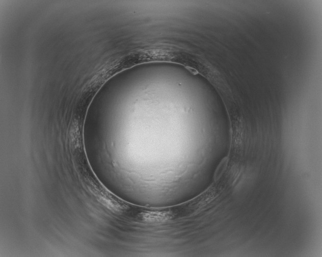 X0000076410465200610161105