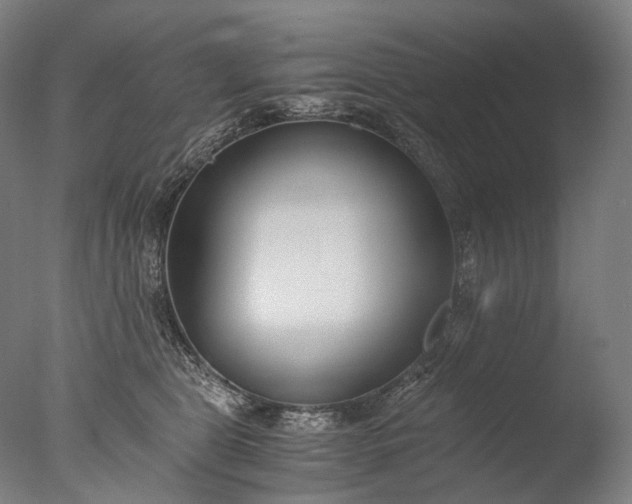 X0000076410469200610161105