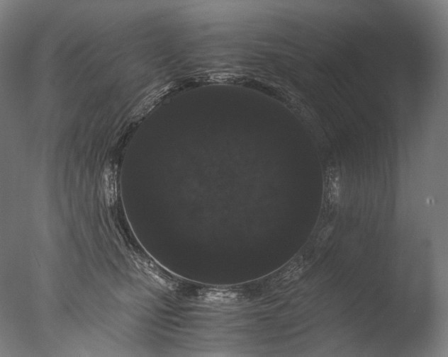 X0000076410471200610161105
