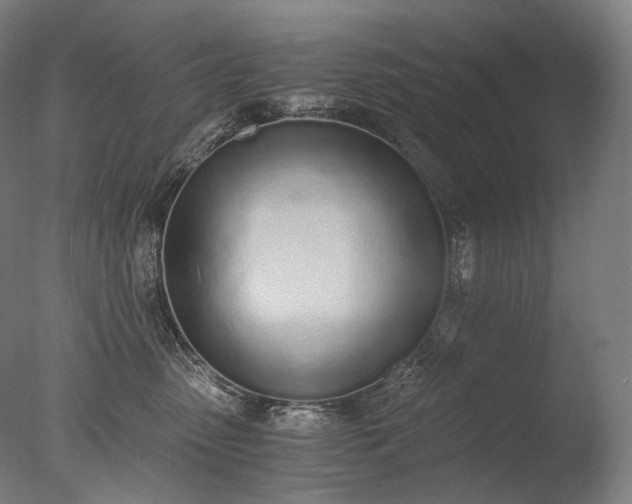 X0000076410475200610161105