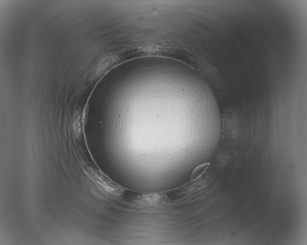 X0000076410479200610161105