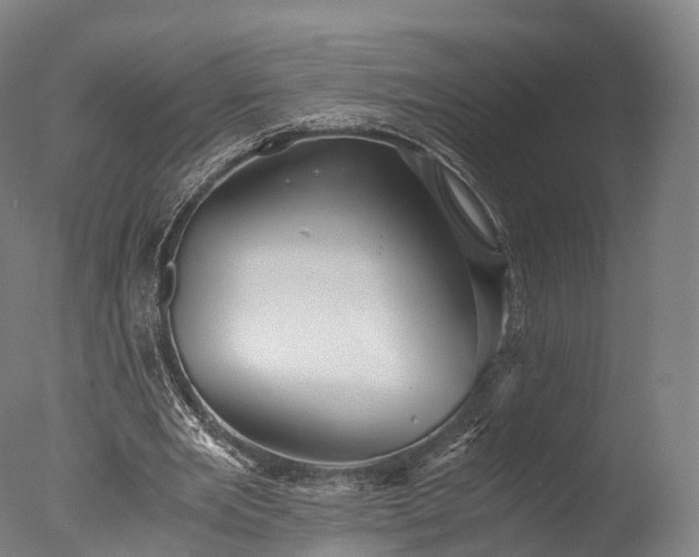 X0000076410485200610161104