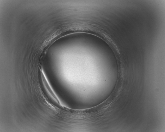X0000076410489200610161104