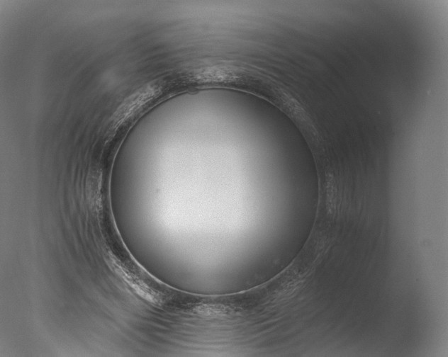 X0000076410490200610161104
