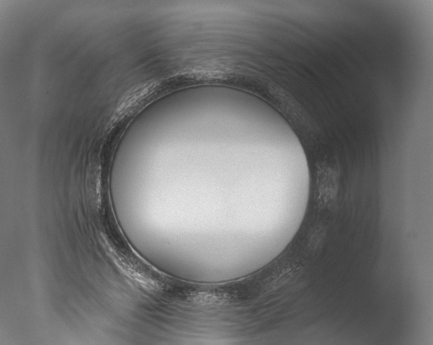 X0000076410494200610161104
