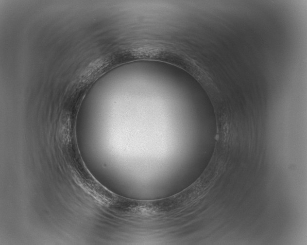 X0000076410498200610161104