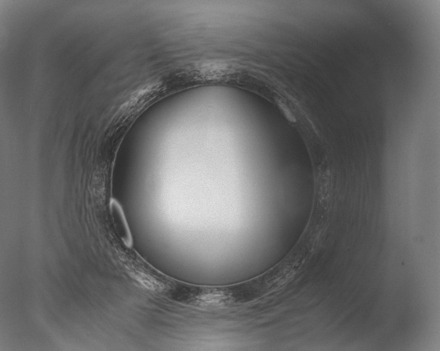 X0000076410505200610161104