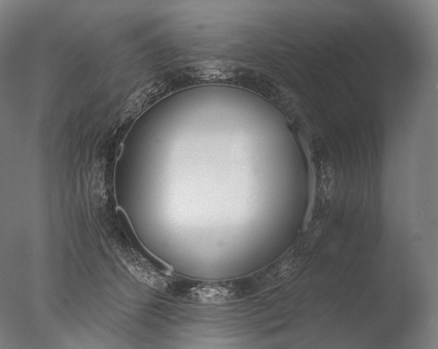 X0000076410512200610161104