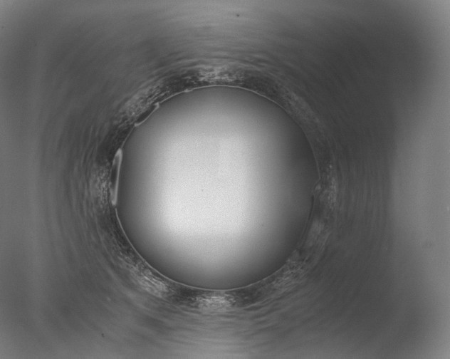 X0000076410513200610161104