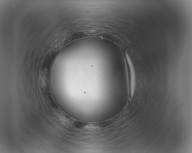 X0000076410515200610161104