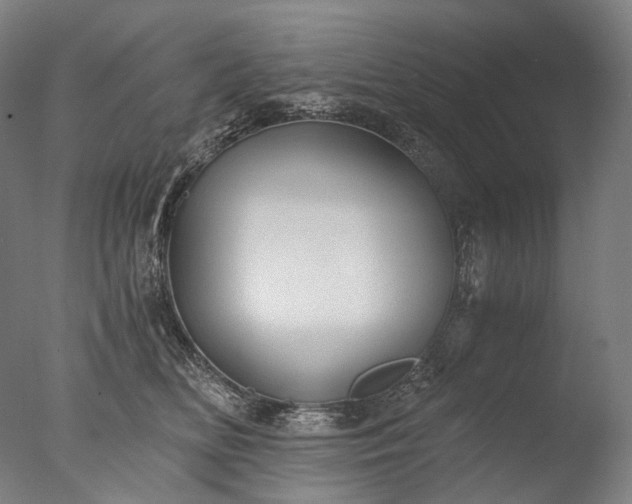X0000076410518200610161104