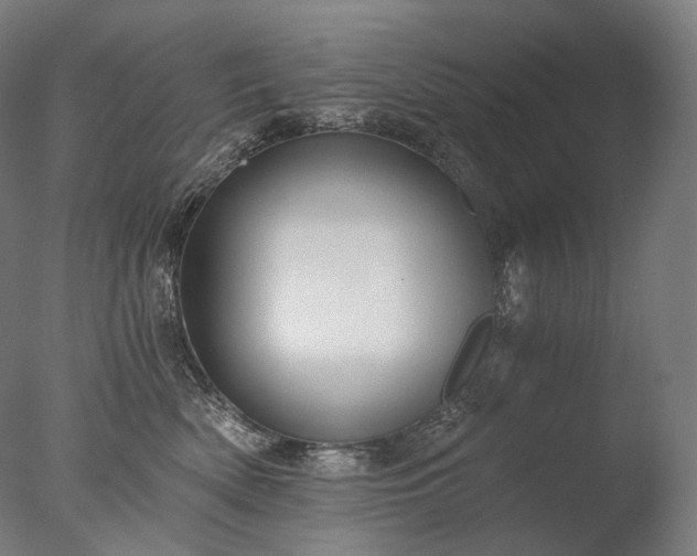 X0000076410522200610161104