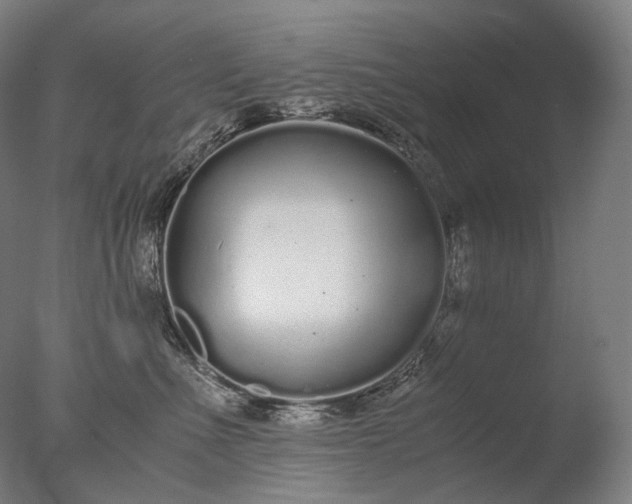 X0000076410523200610161104