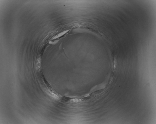 X0000076410526200610161104