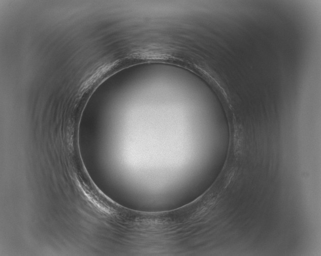 X0000076410533200610161103