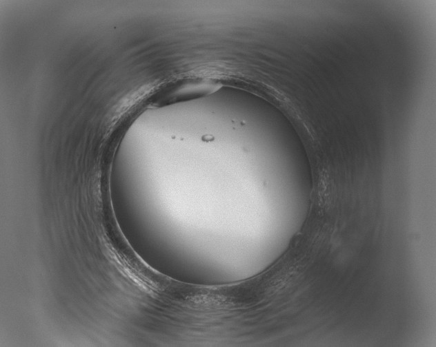 X0000076410535200610161103