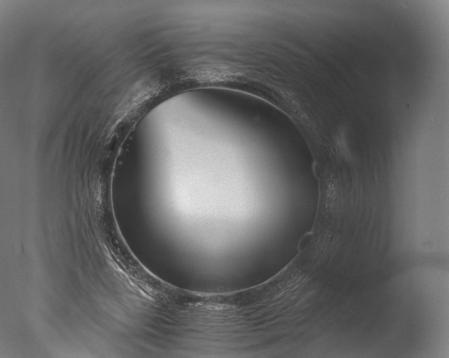 X0000076410539200610161103