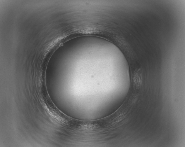 X0000076410540200610161103