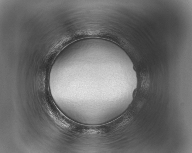 X0000076410542200610161103