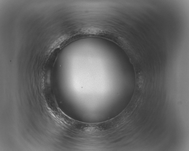 X0000076410544200610161103