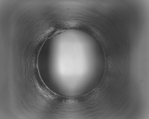 X0000076410546200610161103