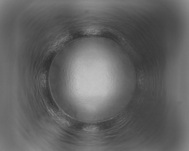 X0000076410551200610161103