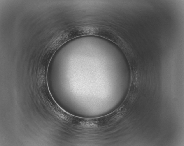 X0000076410553200610161103