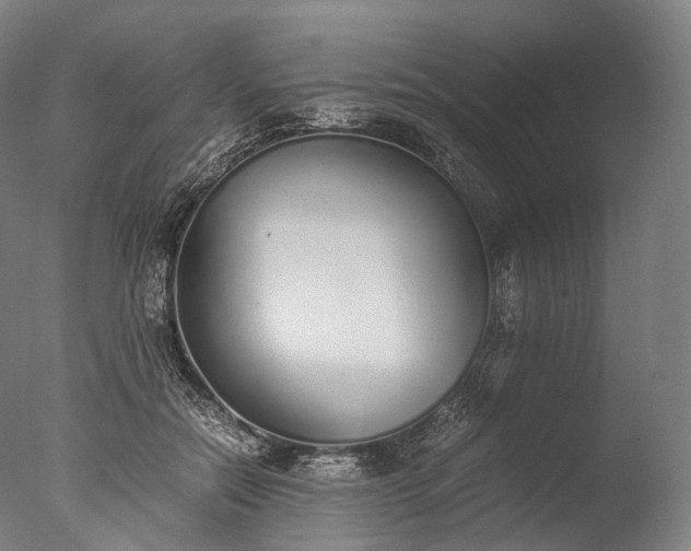 X0000076410554200610161103