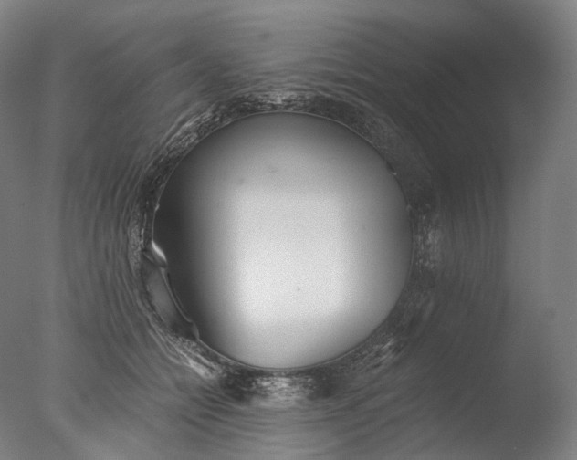X0000076410558200610161103