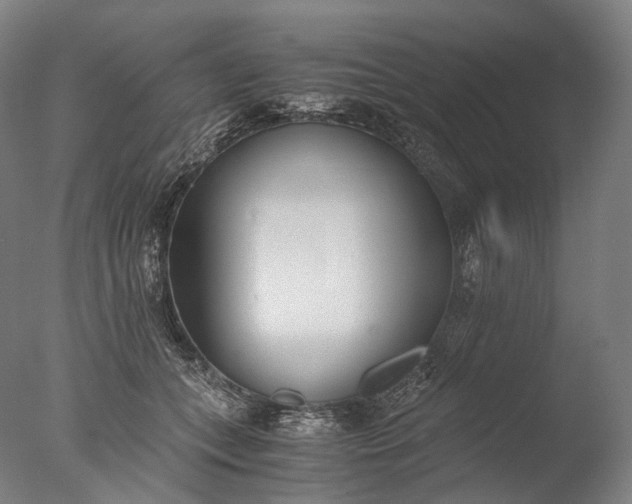 X0000076410559200610161103