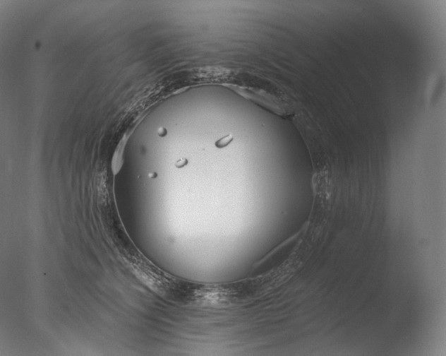 X0000076410564200610161103