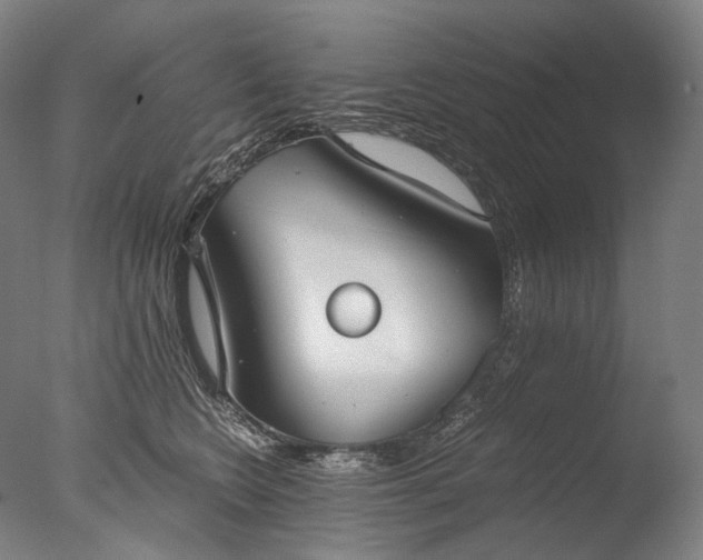 X0000076410566200610161104