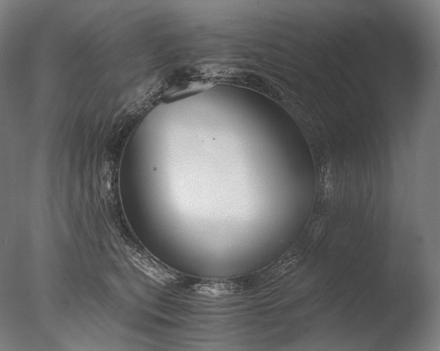 X0000076410567200610161104
