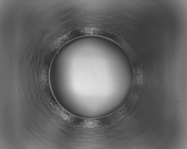 X0000076410569200610161104