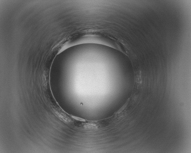 X0000076410572200610161104