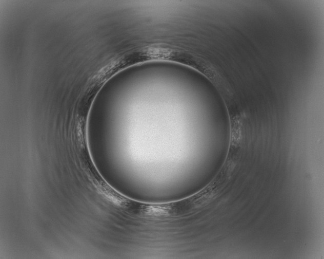 X0000076410573200610161104