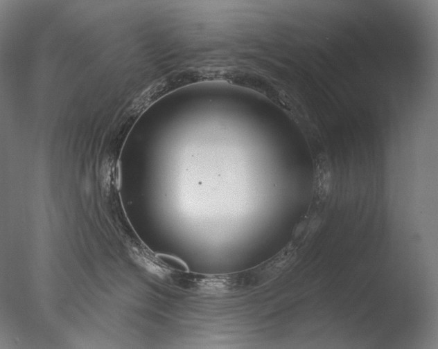 X0000076410574200610161104
