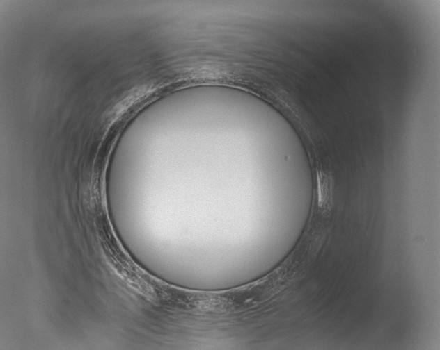X0000076410579200610161103