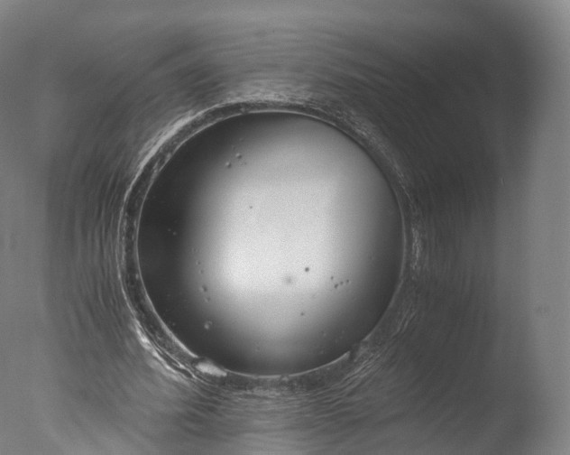 X0000076410580200610161103