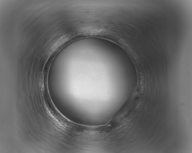 X0000076410582200610161103