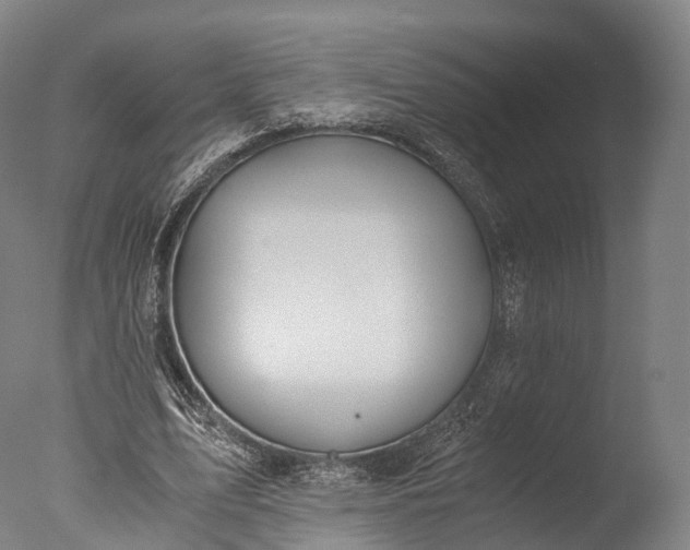 X0000076410583200610161103