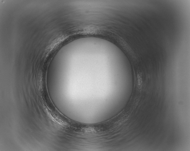 X0000076410588200610161103