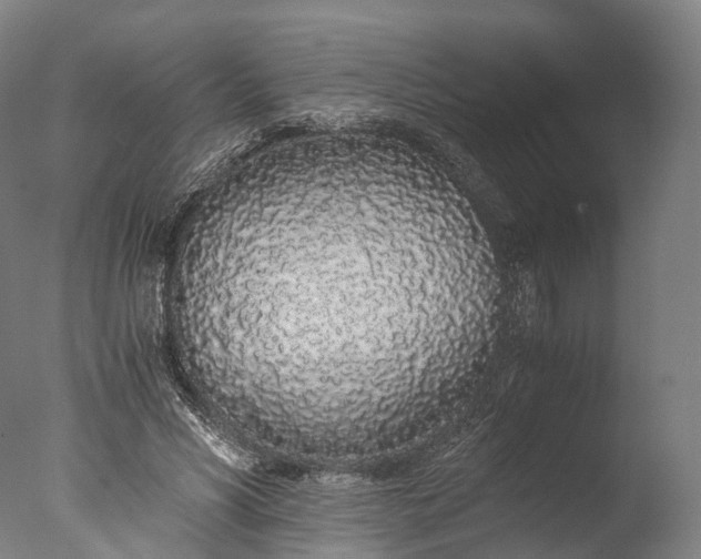 X0000076410590200610161103