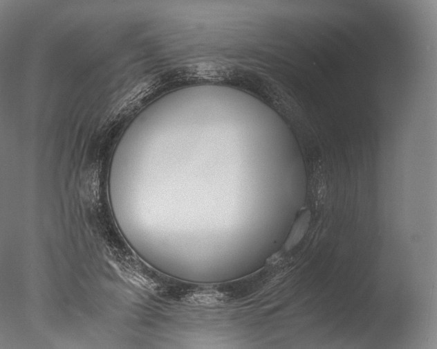 X0000076410595200610161103
