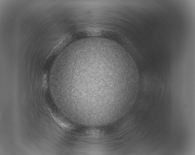 X0000076410598200610161103