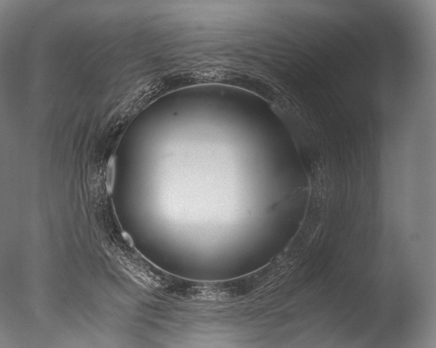 X0000076410601200610161102