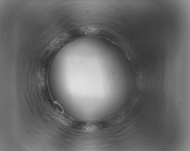 X0000076410604200610161102
