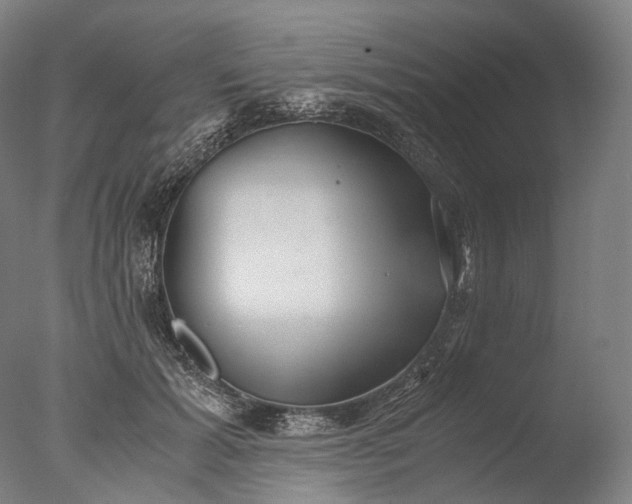 X0000076410605200610161102