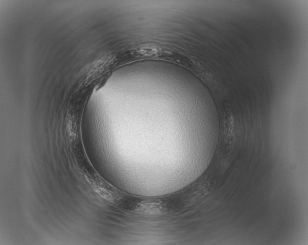 X0000076410606200610161102