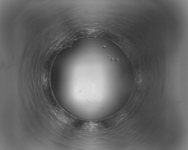 X0000076410607200610161102